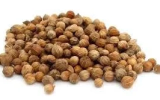 Кориандр в виде зерен на белом фоне - Оксанит