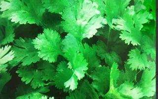 Восточный Аромат