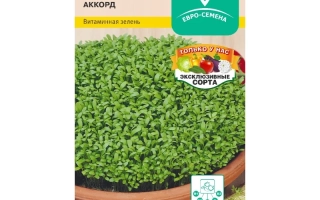 Пакет семян кресс-салата Аккорд с изображением зелени
