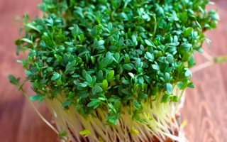 Кресс на деревянной подложке - Данский