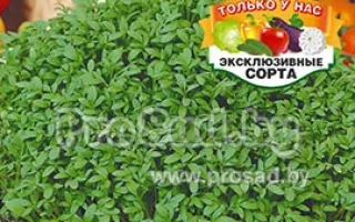 Пакет семян кресс-салата Дема в деревянной миске