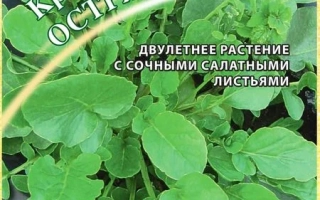 Семена многолетнего кресса острьяк на упаковке - ОСТРЯК