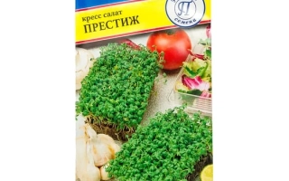 Пакет семян Престиж для выращивания кресс-салата