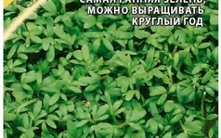 Пакет семян кресса-салата ВИТАМИНЧИК