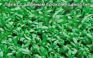 Пакет семян кресс-салата Забава от Аэлита