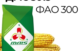 4020 СМС Х 3152