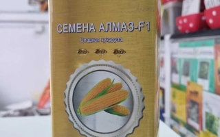 Yellow seed packaging for corn Almaz with ear illustration