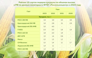 Таблица характеристик гібрида кукурудзи АНАТОЛІЙ МВ з фото початків