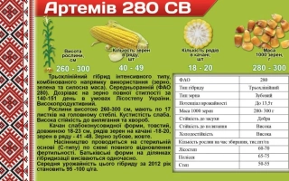 Артемив 280 СВ