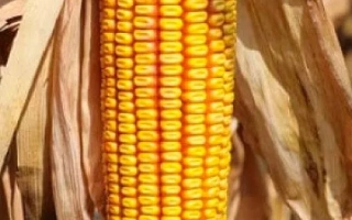 Атлант 400 МВ