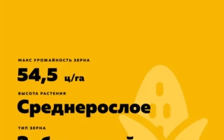 БЕЛОЗЕРНЫЙ 305