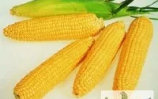 Борозенський 277 СВ / Борозенський 277 МВ