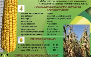 Чемеровецький 260 СВ