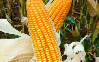 Черкаський 227 МВ