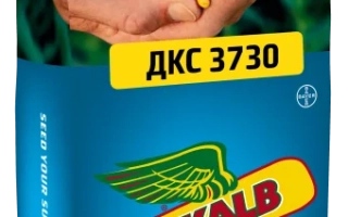 ДКС 3730