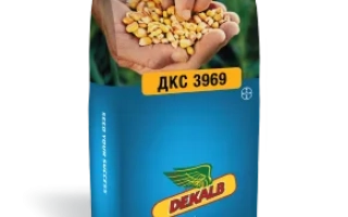 ДКС 3969