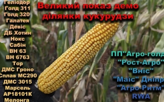 ДМС 1709