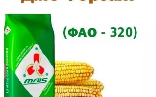 Пакет семян кукурузы ДМС Форсаж (FAO - 320) с изображением початков
