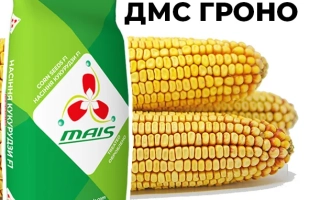 DMS Grano