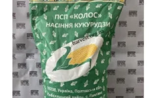 ДН Ксена