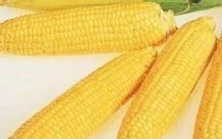 ДН Пульсация