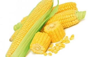 Днепровский 172 МВ