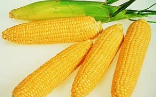 Днепровский 193 МВ