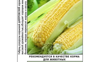 Днипровский 309 МВ