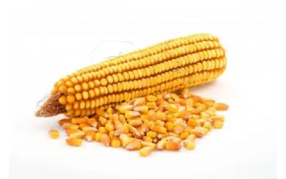 Достаток 300 МВ