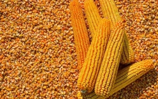 ЕГ 7027 Х ЕГ 7051