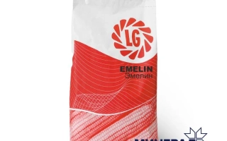 Эмелин