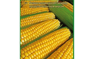 Seed packet of sweet corn Erik F1