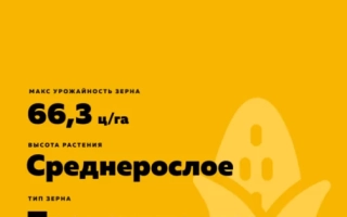 ЕС Астракан