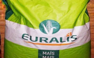 ЄС Бріллянт