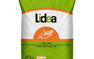 ЕС Калдерон