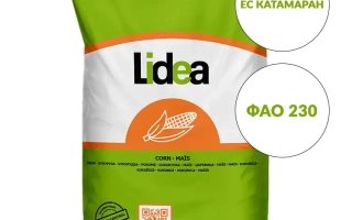 ЕС Катамаран