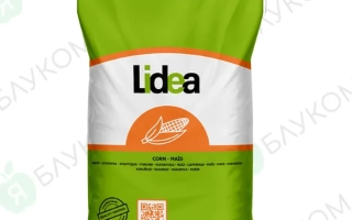 ЕС Конгресс