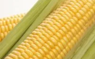 ЄС Кристель