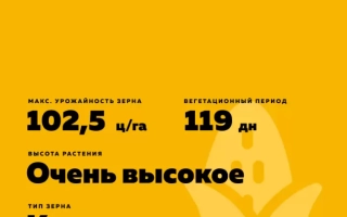 ЕС Метроном