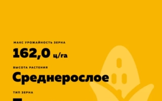 ЕС Рейнджер