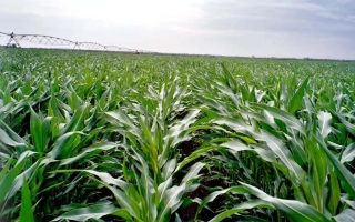 ЕС Скайтавер