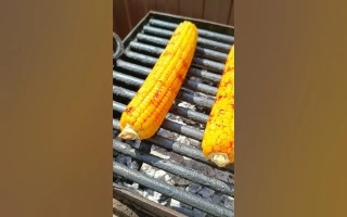 Corn on grill without packaging or label - FAKEL S