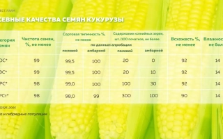 ГК 175 Х ГК 153