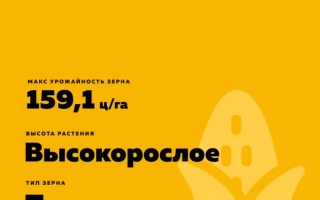 ГК 190 Х ГК 184