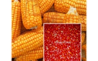 ХАРЬКОВСКАЯ 126 МВ