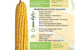 Харьковский 18 СВ