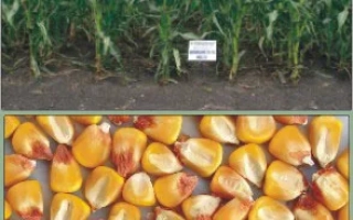 Харьковский 329 МВ