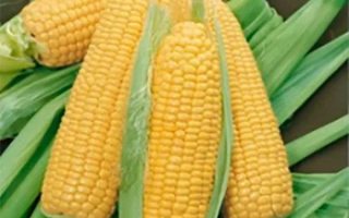 Хмельницький