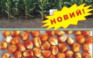 Индустрия МВ