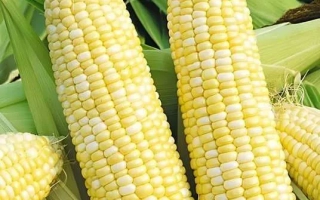 Ингульский